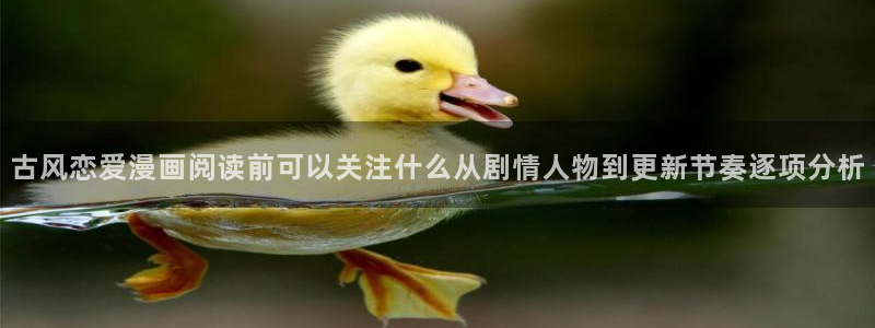梦漫漫画漫画查询：古风恋爱漫画阅读前可以关注什么从剧情人物到更新节奏逐项分析