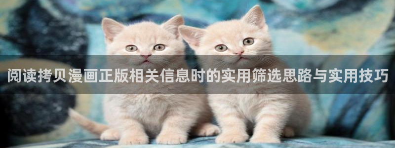梦漫漫画免费在线阅读:阅读拷贝漫画正版相关信息时的实用筛选思路与实用技巧