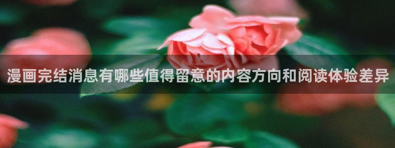梦漫漫画最新漫画大全:漫画完结消息有哪些值得留意的内容方向和阅读体验差异