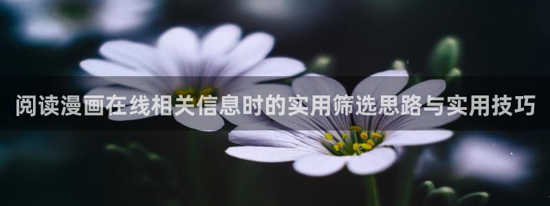 梦漫漫画阅读客户端:阅读漫画在线相关信息时的实用筛选思路与实用技巧