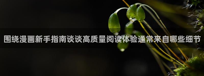 梦漫漫画阅读推荐:围绕漫画新手指南谈谈高质量阅读体验通常来自哪些细节