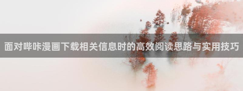梦漫漫画：面对哔咔漫画下载相关信息时的高效阅读思路与实用技巧
