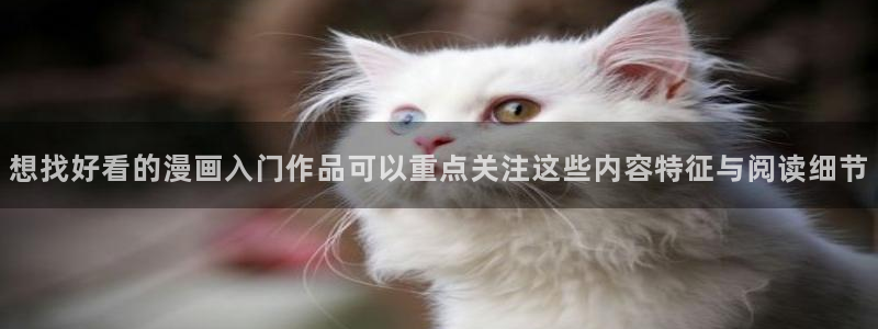 梦漫漫画作品更新：想找好看的漫画入门作品可以重点关注这些内容特征与阅读细节