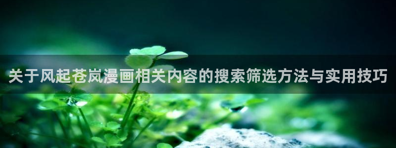 梦漫漫画APP大全：关于风起苍岚漫画相关内容的搜索筛选方法与实用技巧